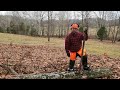 Using Forestry Safety Gear to Cut Up a Fallen Oak Tree