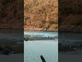 Devbhoomi Rishikesh Se Mahadev Ko Naman #harharmahadev #shorts #sanatandharma