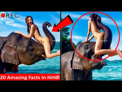 दिमाग को हिला देने वाले 20 Most Amazing Facts In Hindi Random Facts  facttechz  RTS EP 114