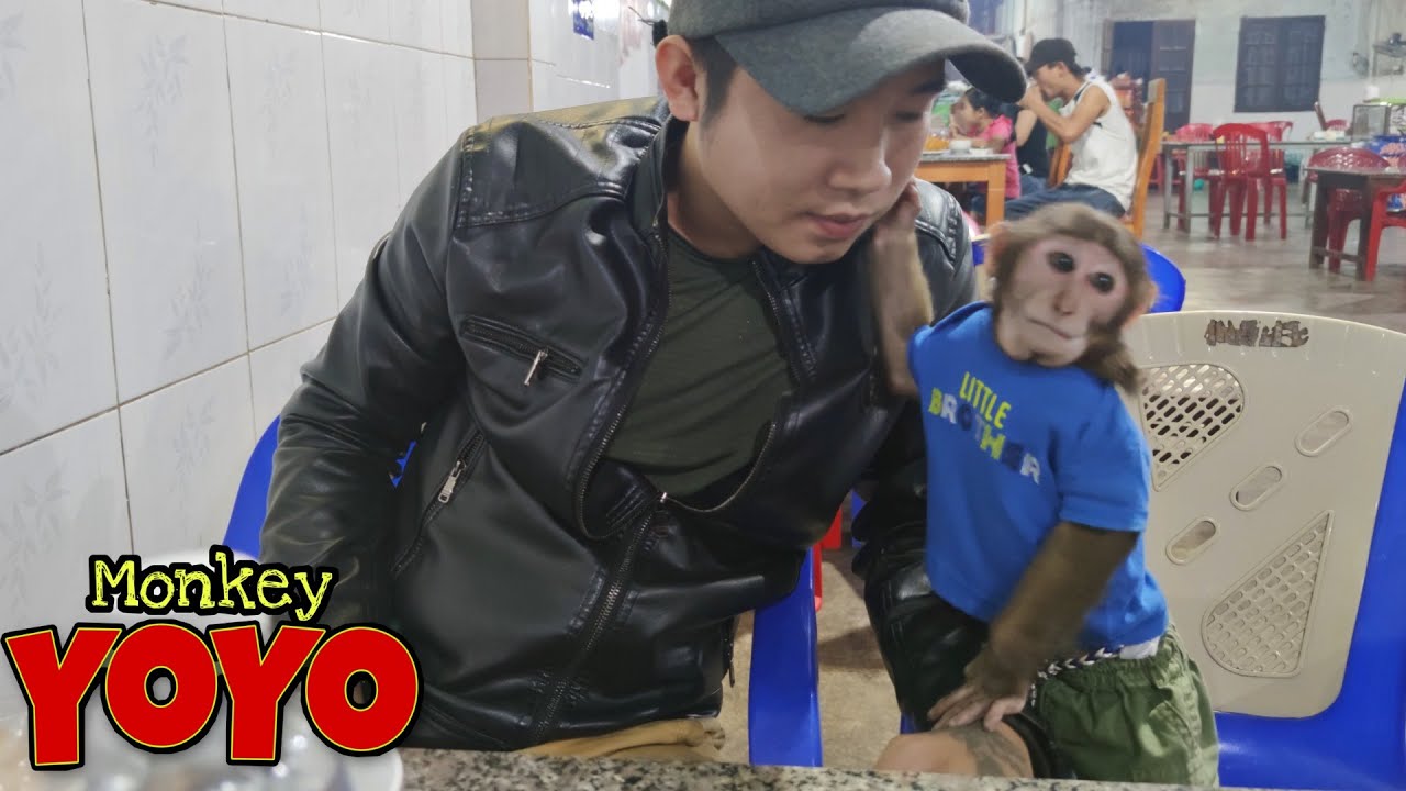 YoYo JR goes to the restaurant with dad