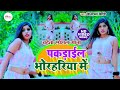 Dance     vindhyachal bihari  bhojpuri chaita  viral chaita song