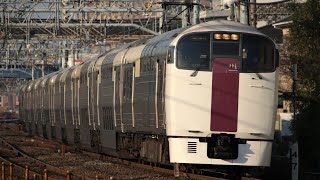 JR215系NL2編成 3454M おはようライナー新宿24号 新宿行き JR東海道本線 藤沢～大船 区間