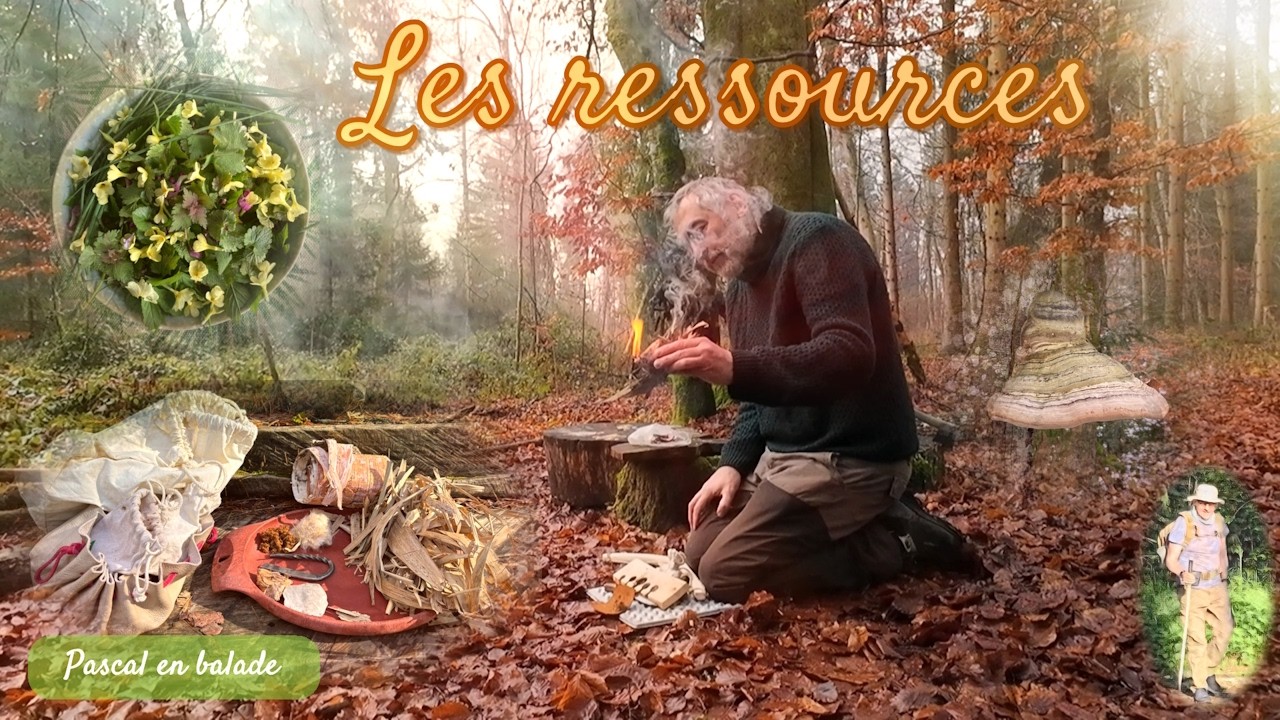Les ressources