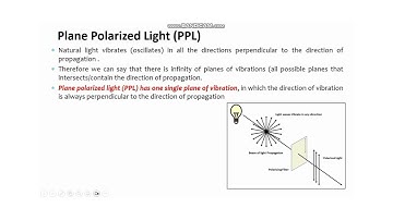 Plane Polarized Light vs. Crossed Polarized Light