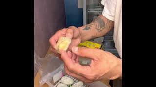 Ball Python Clutch number #2 2022 (Dried Up)