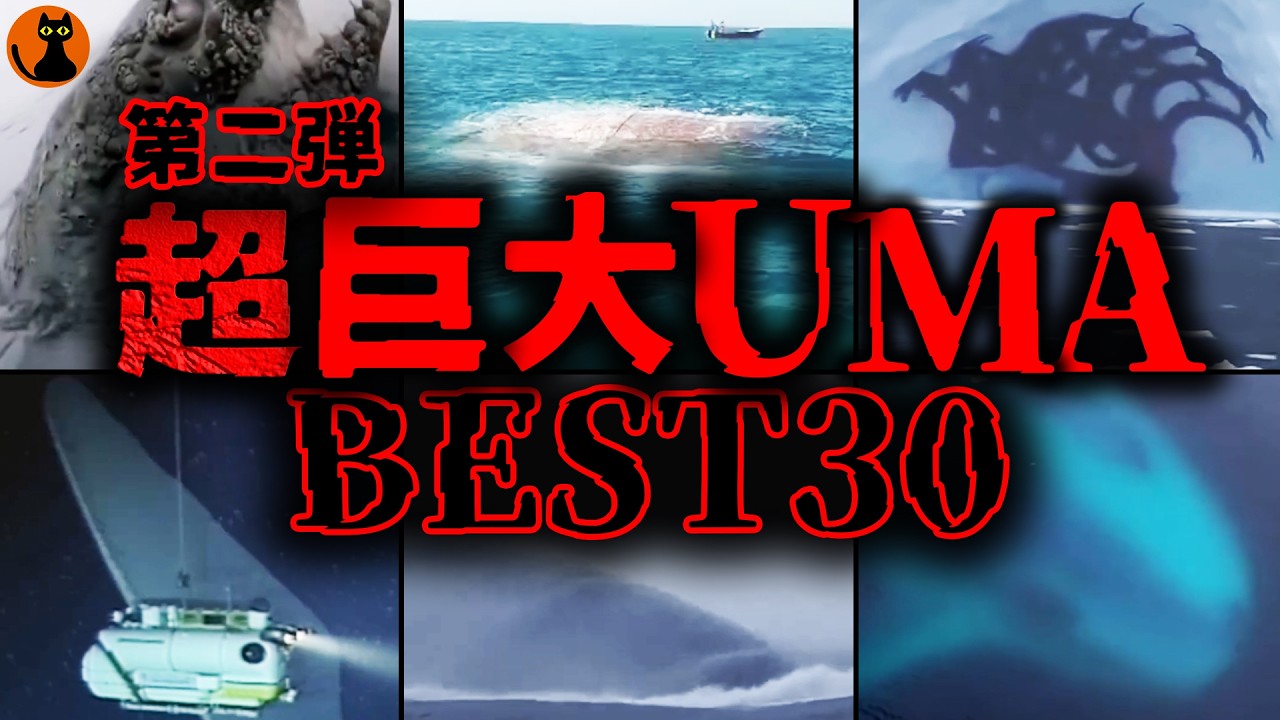 【第二弾】カメラが捉えた目を疑う超巨大生物の数々...UMA未確認生物映像BEST30選第二弾