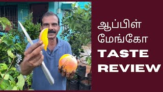 R2 E2 Mango | Apple Mango Taste | Jumbo Red Mango Taste Review | Why is it Called apple mango?