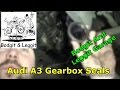 How To Do Audi A3 Gearbox Seals Bodgit And Leggit Garage