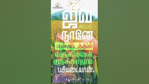 scs short videos whatsapp status