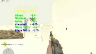 CoD2 1.3 Wallhack Hook DOWNLOAD!!!
