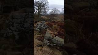 Abandoned 1700S Croft - Scotland