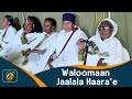 Waloomaan Jaalala Haara'e