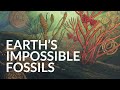 What Was The First Complex Life on Earth?