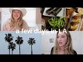 a few days in LA: wine night, productive weekdays, Alo haul, going out