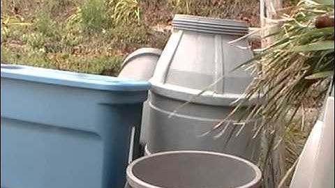 Nancy Today: Cattail harvest for basketry 2 ASMR weaving basketmaking (basket making tutorial)