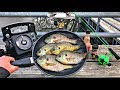 SPICY BLUEGILL Catch N' Cook W/ The GIRLFRIEND!!!