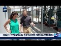Israeli tech firm seeks to solve overfishing by growing fresh fish