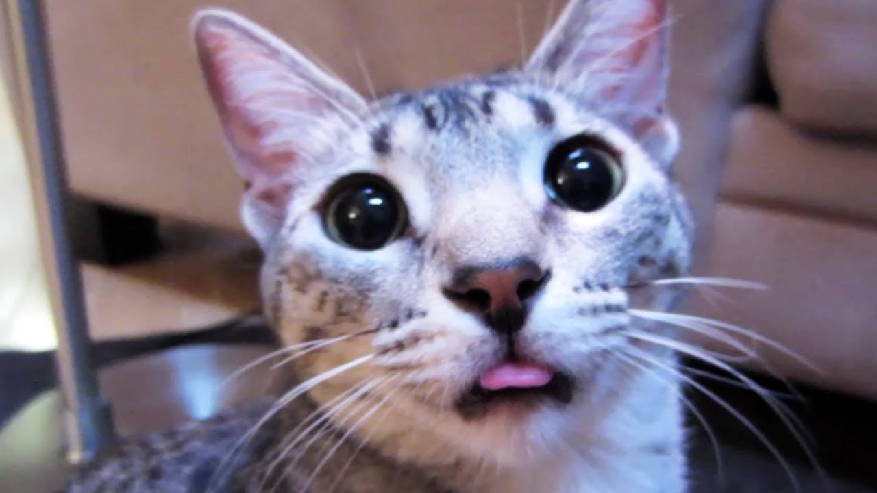 SUNDAY FUNDAY! haha ne demek