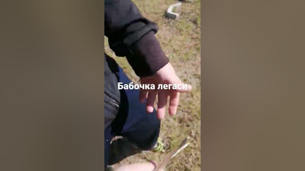 бабочка легаси - YouTube