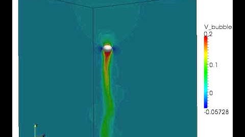 Oscillating Rising Bubble