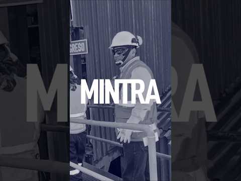 AUDITOR MINTRA -