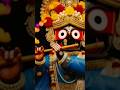 Jay Jagannath🙏❤🌹#reelsvideo #viralsong#shorts#viral#shortsfeed#viral#shorts #contentcreator #love