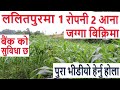     land for sale in chapague  ghar jagga bank  real estate nepal  ghar jagga nepal