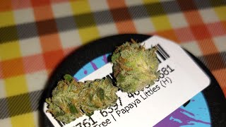 Papaya strain review / Smoke Sesh🌅🏃Medical cannabis.