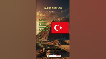 FLAG QUIZZ IMPOSSIBLE  CHALLENGE YOUR BRAIN  #shorts #viralshorts #quiz #viralquiz #viralvideo