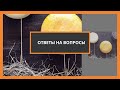 Ответы На Вопросы