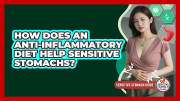 How Does An Anti-inflammatory Diet Help Sensitive Stomachs? - Sensitive Stomach Guide