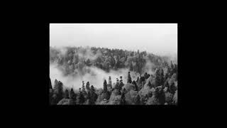 Nebel
