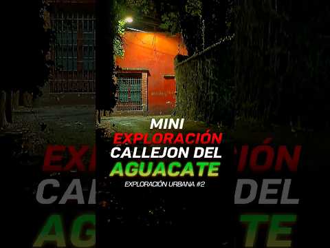 CALLEJÓN DEL AGUACATE