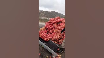 Small conveyor belt, special for cargo loading and unloading vehicles,