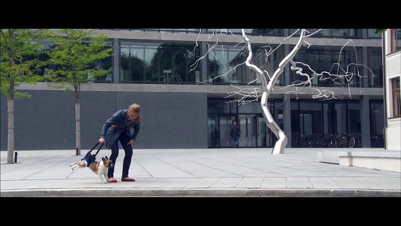 Alles Inklusive Film