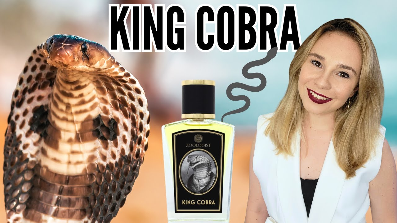 NEW King Cobra by Zoologist Fragrances Review - YouTube