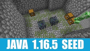 Minecraft Java 1.16.5 Seed: Dungeon with double spawner, enchanted apple + mountain village at spawn