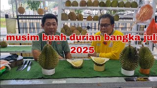 Bangka durian fruit season July 2025