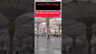 সোনার মদিনা বহুদূরে গজল gojol islamicshorts গজল naat