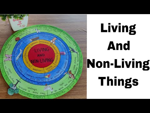 Living and Non-Living