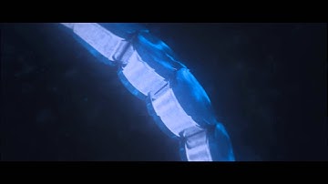 CSCOOP | Fan-Intro | Artist: Kyle | C4D doe!!