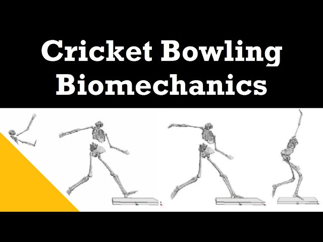 7 Cricket Batting Techniques - The Main Areas That You Should Focus On |  StanceBeam