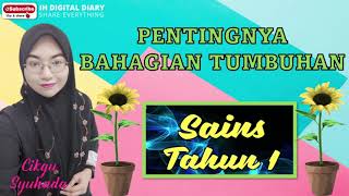 PENTINGNYA BAHAGIAN TUMBUHAN SAINS TAHUN 1