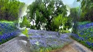 Blue Bonnet Highway Gary Wright