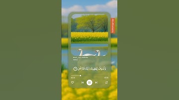 سورة الضحى 😊 #قرآن_كريم #ارح_قلبك #تلاوة_خاشعة #اكسبلور #دويتو #تيك_توك #حالات_واتس #1000subscriber