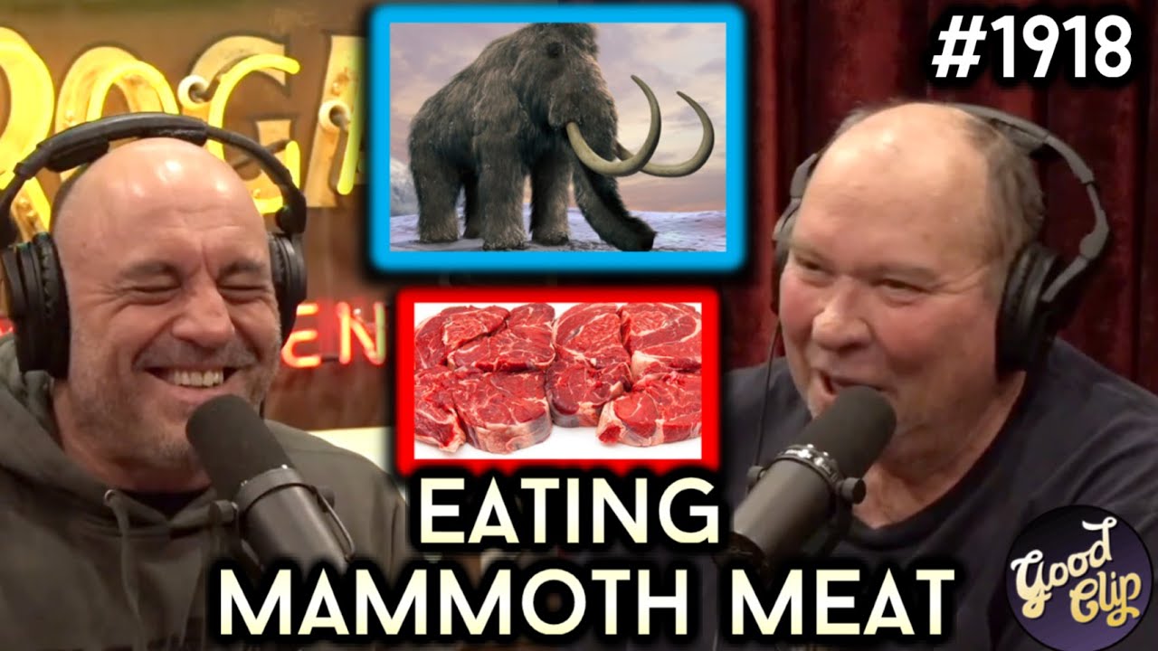 Joe Rogan 🎬 John Tells Joe About His Experience Eating Wooly Mammoth