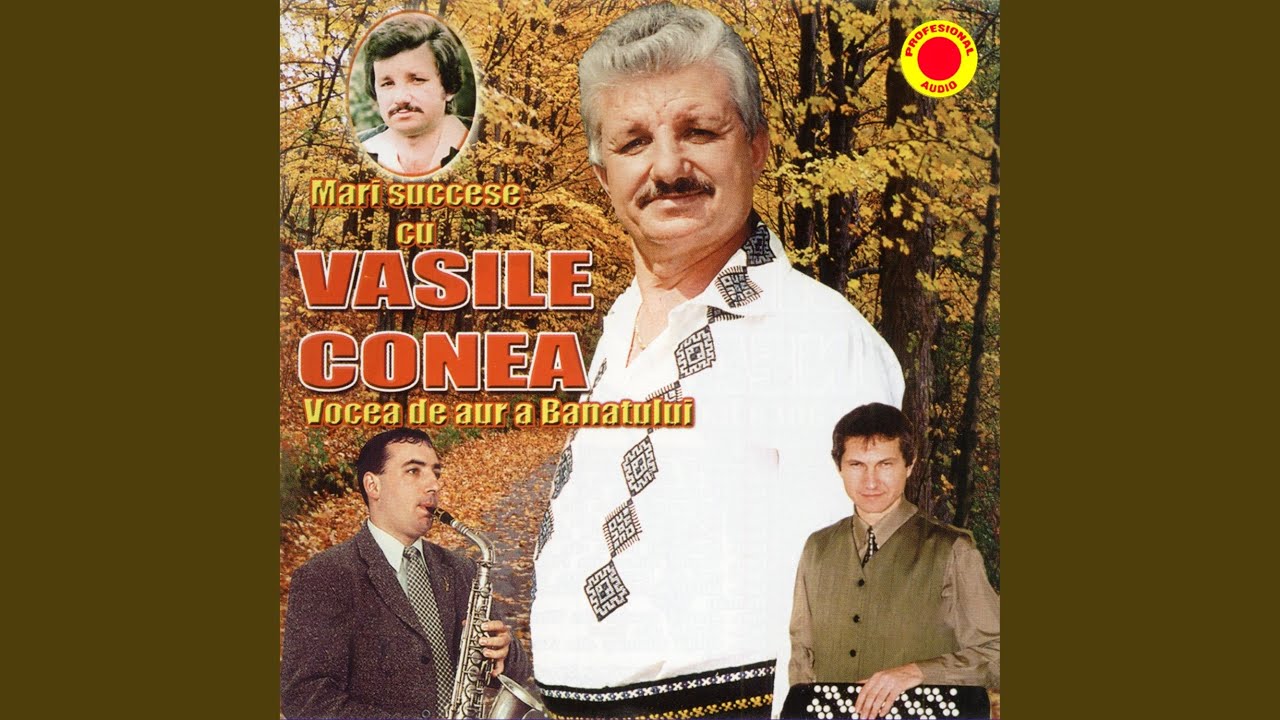 Ce sta vantul sa tot bata, Necajit am fost in lume