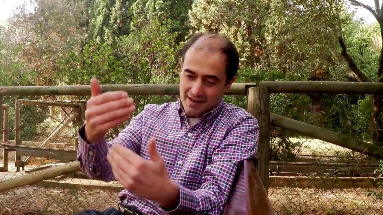 seitai katsugen undo