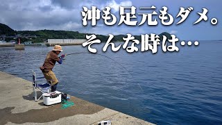 魚の巣窟を狙い撃ち。意外にも、絶妙な距離感にパラダイスは存在した…。