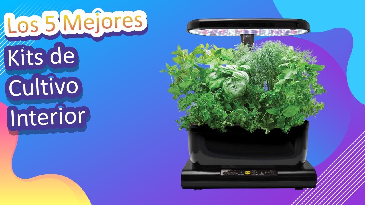 Los 5 Mejores Kits de Cultivo Interior 2022